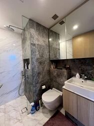 The Peak @ Cairnhill II (D9), Apartment #598707921